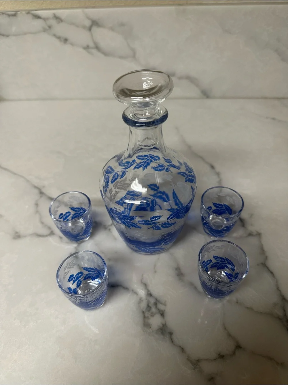 Vintage 1970s French cordial/liquor decanter set of 5